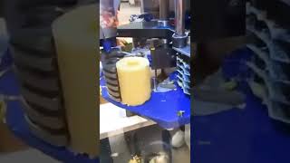 Pineapple Slicer Machine Smart Innovation #shorts