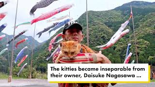 Traveling cats embark on the journey of a lifetime