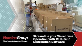 Warehouse Execution System - Real-time Distribution Software (RDS) Numina Group's WES-WCS Suite