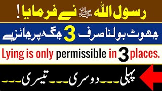 Jhoot Bolna Sirf 3 Jagah Jayez Hai | Hadees-E-Nabvi ﷺ