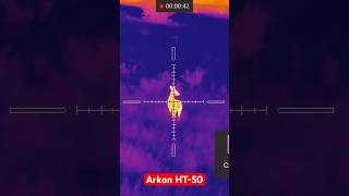 Косули в прицеле Arkon HT-50   #охота #охотник #охотастепловизором #arkonht50