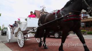 Frankenmuth Family Spot