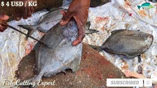 Black pomfret fish cleaning & cutting into curry pieces at fish market of Bangladesh