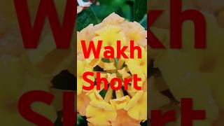 Wakhare Song Gurnam Bhullar | #shortvideo  | #Viralvideo