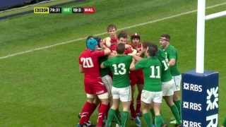 Ireland vs Wales 2014  HD Final try!