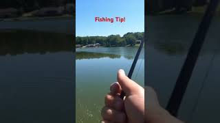 Fishing Tip! Work Weed Lines with a Swim Jig to catch more Bass!  I like the Booyah Mobster Swim Jig