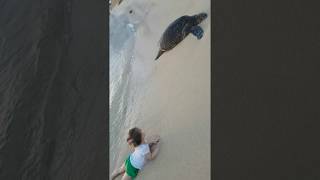 Baby bathing with turtles