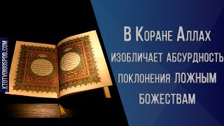 В Коране Аллах изобличает абсурдность поклонения ложным божествам