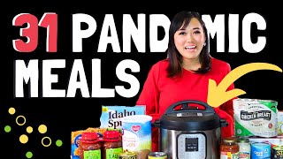 31+ PANDEMIC RECIPES IN THE INSTANT POT 🔥