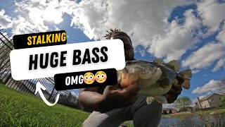 Caught A Tank Early Season #fishing #bassfishing #new #newvideo