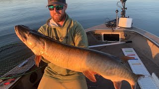 TOPWATER MUSKIE BUFFET!! - 3 Muskie Morning