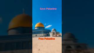 ❤️ Free Palestine... #savepalestine #gaza#shortvideos ##trending #viral #subhanallah #beauty