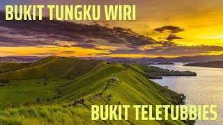 Mengungkap Surga Tersembunyi di Papua: Bukit Teletubbies Jayapura [Pemandangan Menakjubkan!]