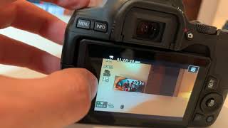 Canon EOS SL3 Review - For Beginners