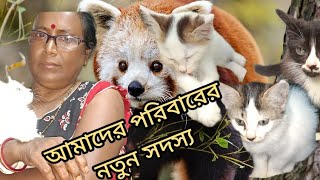 আমাদের পরিবারের নতুন সদস্য#youtuber#new#family#member#bengali