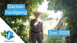 Gartenrundgang Juni 2020