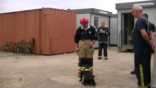 Scrappy The Fire Dog Visits IFTC