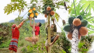 Survival skills fruits Natural Finding Papaya fruit Food For eating delicious