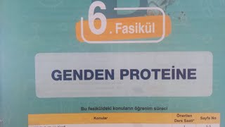 Testokulu AYT Biyoloji konu anlatım föyü-Protein sentezi-2