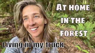 Living in my truck full time Episode 4 | I feel at home in the forest