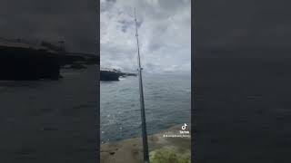 Fishing sunset cliffs San Diego California 🎣 crazy catch😨