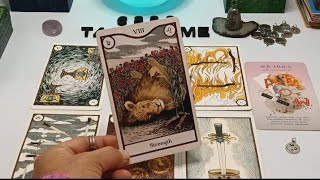 CAPRICORN 🪬 Watch this advice! 🔥 Don't let I.T. go to SHIT 🫣 Mid May Tarot 2024