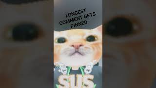 longest comment gets pinned