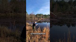 Cleaning the pond. #shorts #pondcleaning #weeding #ponds