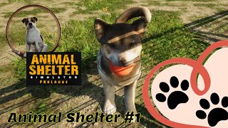 Saving animals in distress!! -Animal Shelter Simulator Gameplay #1-