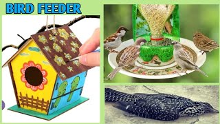 Birds feeder at home / care of birds in summer / handmade bird feeder / how to make a bird nest #diy