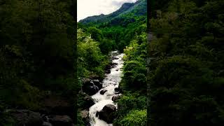 #water sound use headphone 🎧❤️#water #waterfall #shorts #shortvideo #sleepmusic