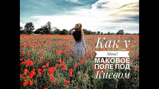 Как у Моне! Маковое поле под Киевом