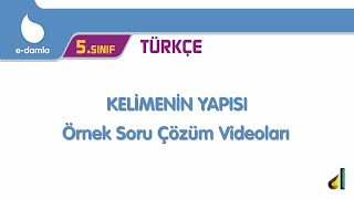 5. Sınıf Türkçe 7. Ünite - Kelimelerin Yapısı Örnek Soru Çözüm Videoları