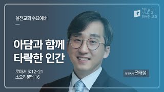 🟡 2024년 11월 6일 설천교회 수요예배(로마서 5:12-21 "아담과 함께 타락한 인간" 윤태성 목사)