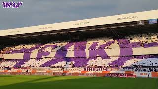 Austria Wien - Legia Warschau (3:5) / 17.08.23 / Choreo & Pyro