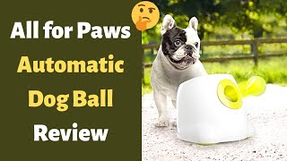 All for Paws Interactive Automatic Dog Ball Launcher Review