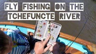 Fly Fishing for Bream on The Tchefuncte River