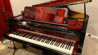 The 5 MOST beautiful pianos in the world!