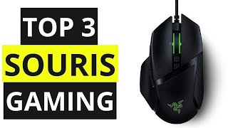 TOP 3 Meilleur Souris Gaming 2021