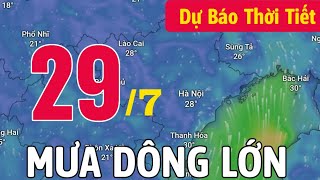 Dự báo thời tiết đêm nay và ngày mai 29/7/2024 - Dự báo thời tiết mới nhất