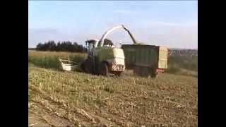 Mais Häcksel mit 3x Fendt Vario 936 und Claas jaguar 980