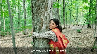 Find out how a job in silviculture helps the environment and the economy!