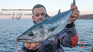 Pêche au leurre méditerranée - Incroyable session d'une heure avant le travail !