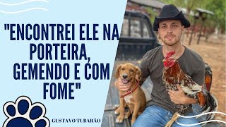 ADOTEI UM CACHORRO E ISSO MUDOU MINHA VIDA | GUSTAVO TUBARÃO | PODPAH #225