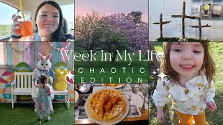 Week In My Life (SAT, Easter, Quiting my Job, New Appliances, & More!)