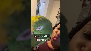 He wants No kisses this morning!! My Rocky #vlogs #parrot #parrottalking