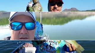 Pesca de Bass en Lake Oviachic