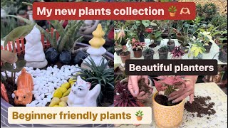 10+ common houseplant varieties 🪴useful plants for home decoration