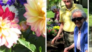 Winding Commons Community Garden | Carmichael Senior Living