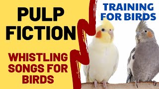 PULP FICTION with Whistling - Whistling Songs for Birds, Cockatiels, Parrots, Budgies